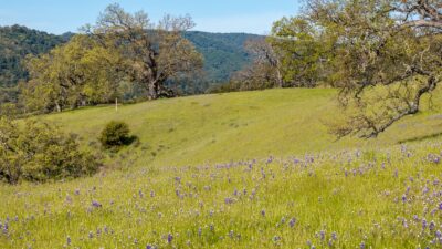 10 - 16_Long_Ridge_Trail_020 - © Canning Properties Group 2025