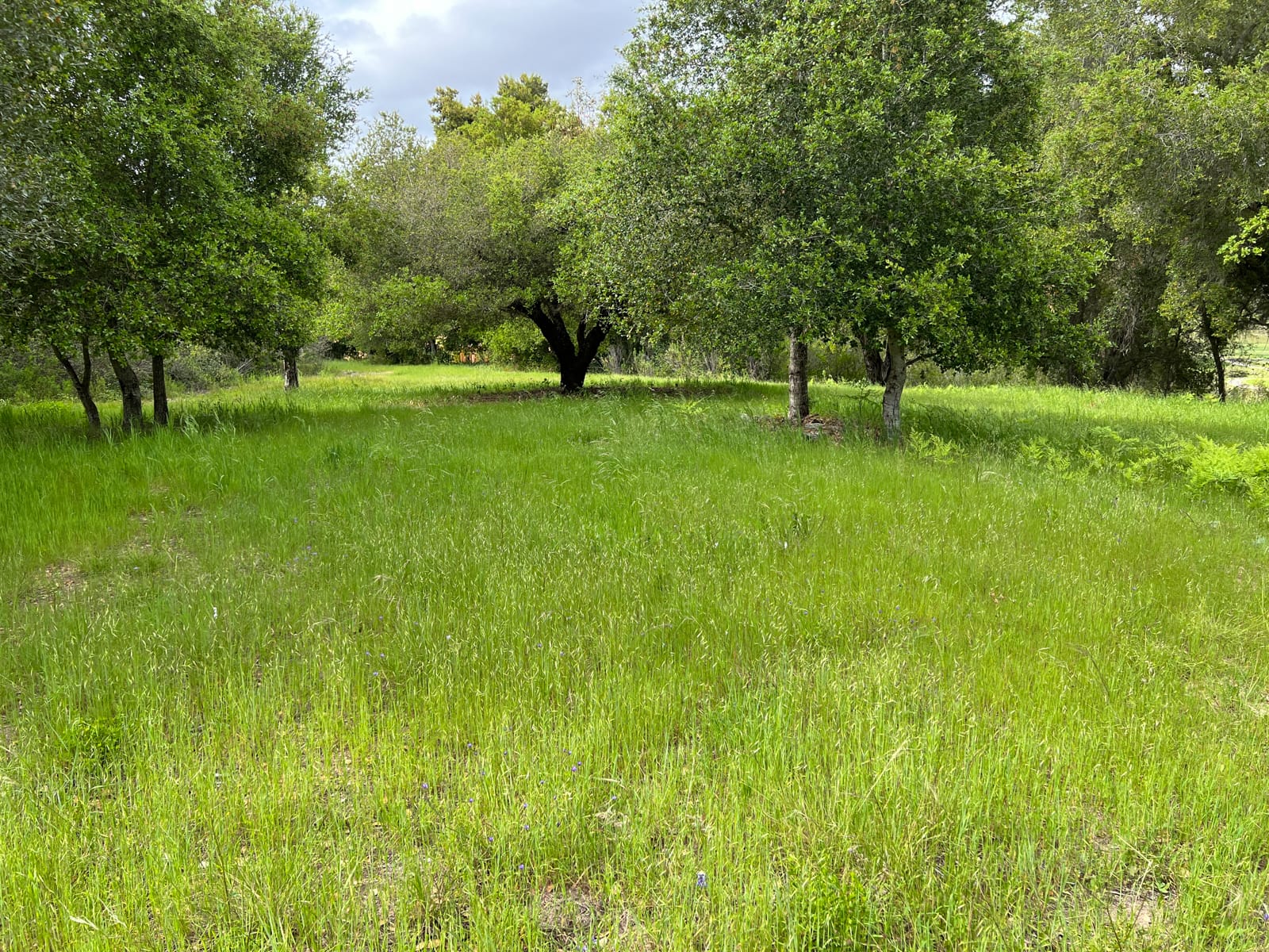 13 Long Ridge Trail - IMG_8002 - © Coldwell Banker Realty 2025