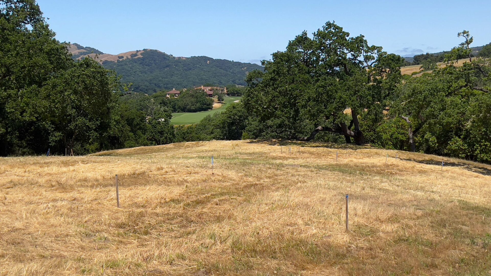 23 Pronghorn Run - MLS11_IMG_6270 - Compass Realty 2025