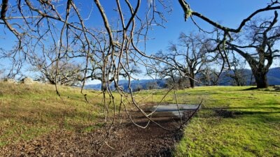 24 Long Ridge16 - © Compass Weathers Gannaway Team 2023