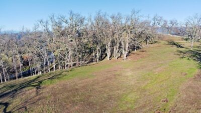 24 Long Ridge25 - © Compass Weathers Gannaway Team 2023