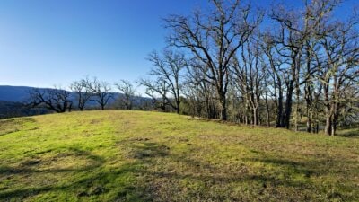 24 Long Ridge4 - © Compass Weathers Gannaway Team 2023