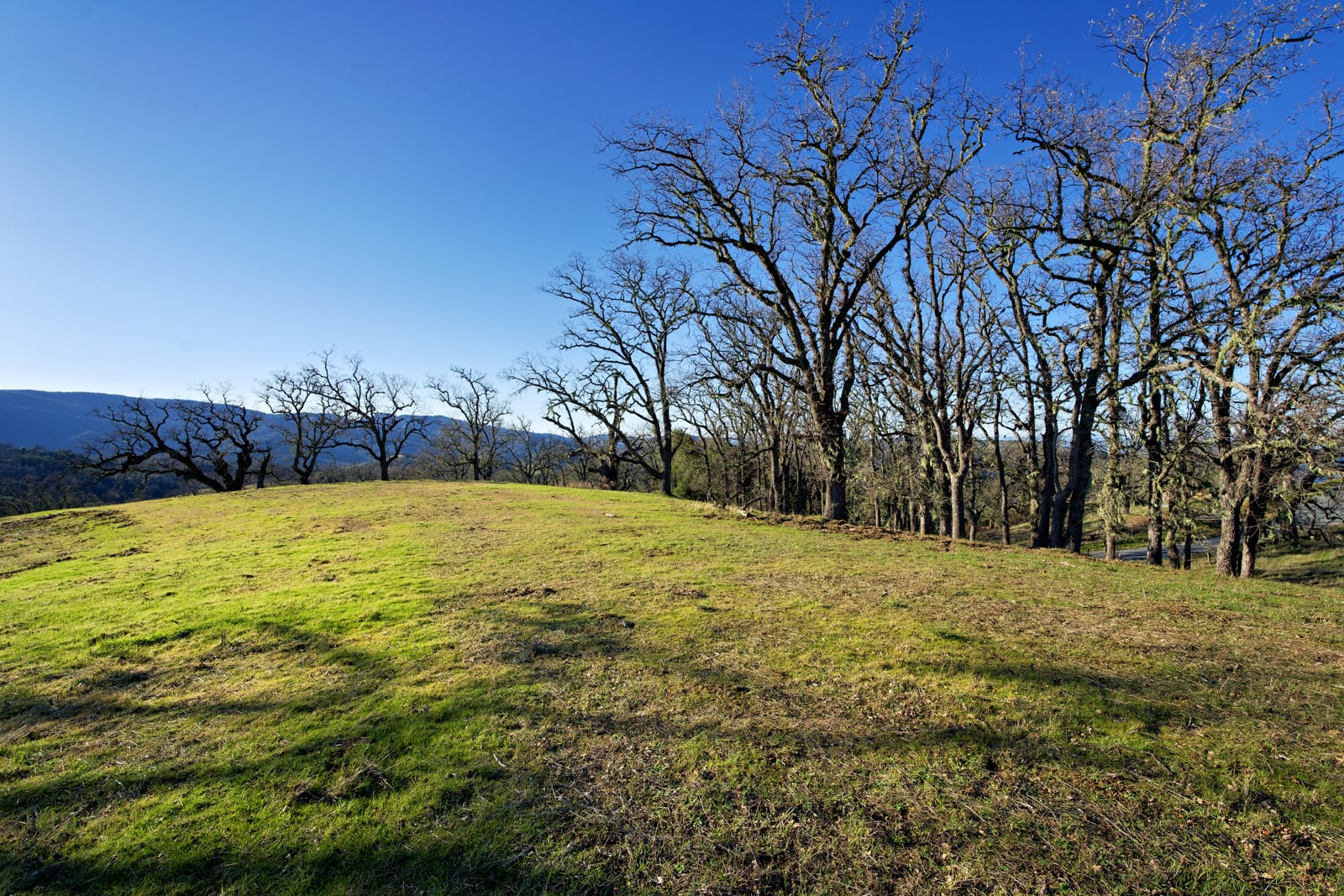 24 Long Ridge4 - © Compass Weathers Gannaway Team 2023