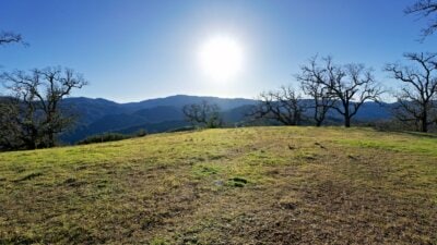 24 Long Ridge7 - © Compass Weathers Gannaway Team 2023