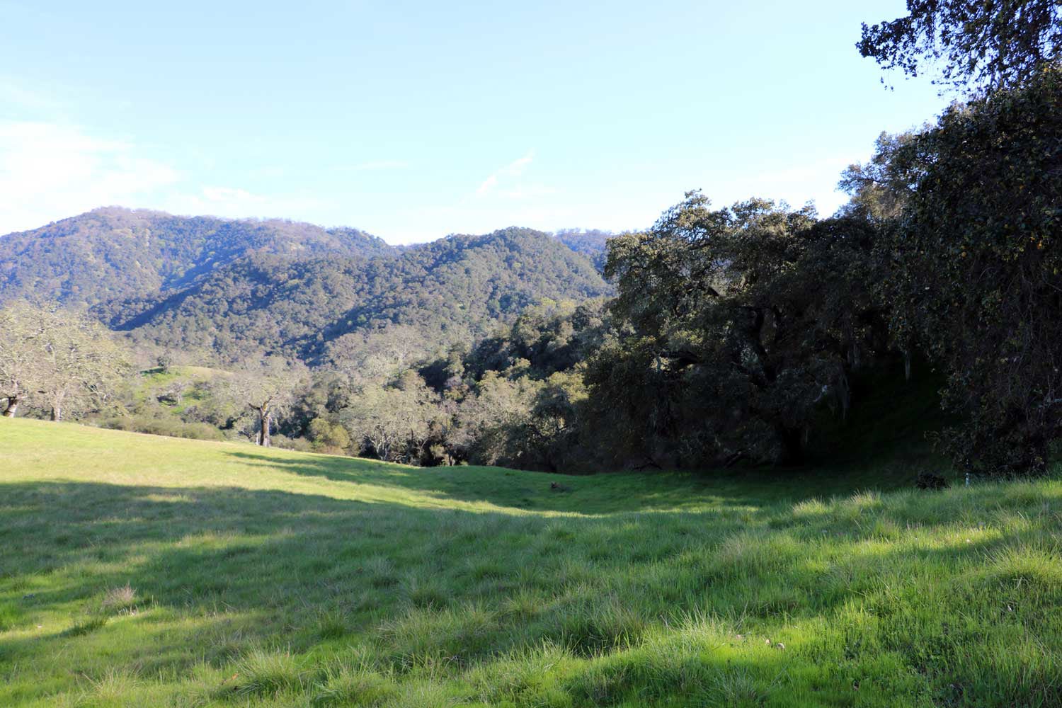 5 Black Mountain Trail - IMG_0782 - © Bambace Peterson 2025