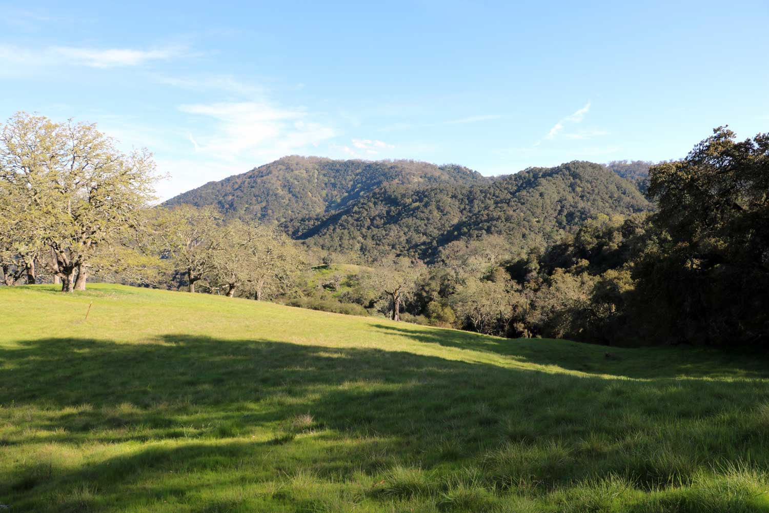 5 Black Mountain Trail - IMG_0783 - © Bambace Peterson 2025