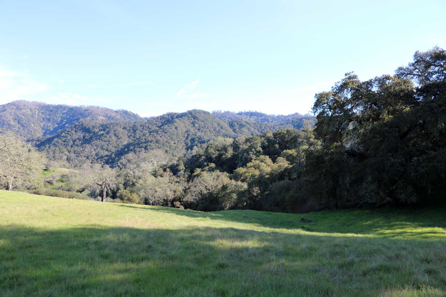 5 Black Mountain Trail - IMG_0784 - © Bambace Peterson 2025