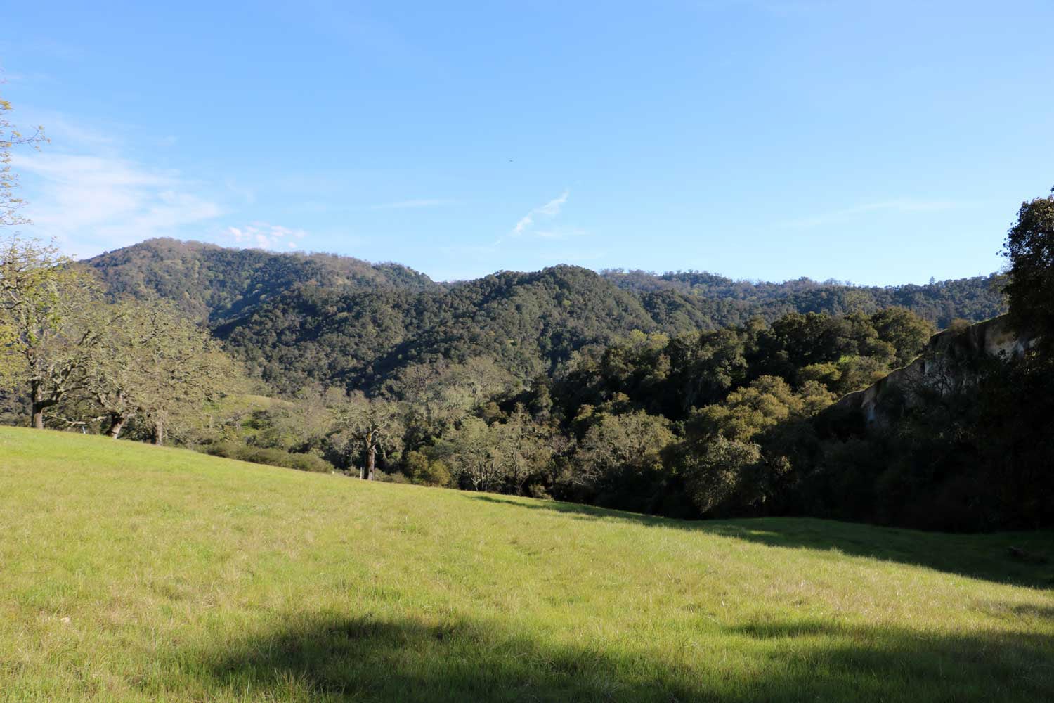 5 Black Mountain Trail - IMG_0789 - © Bambace Peterson 2025