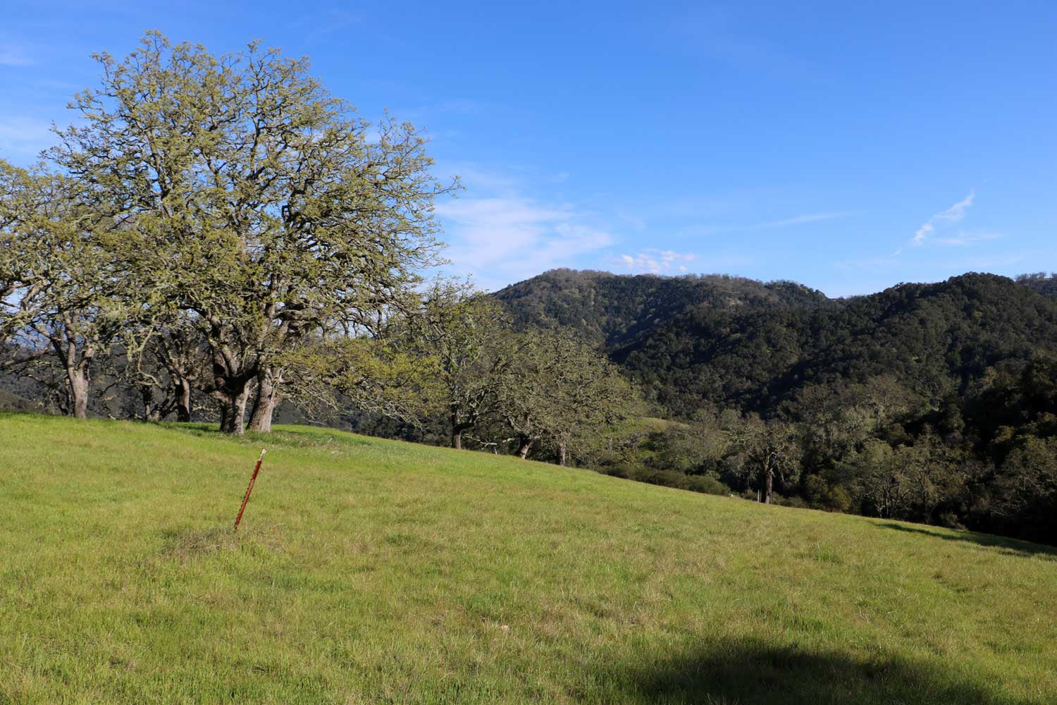 5 Black Mountain Trail - IMG_0790 - © Bambace Peterson 2025