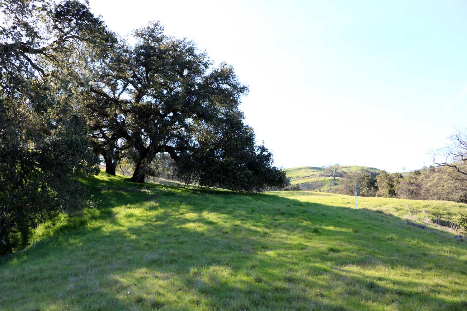 5 Black Mountain Trail - IMG_0799 - © Bambace Peterson 2025