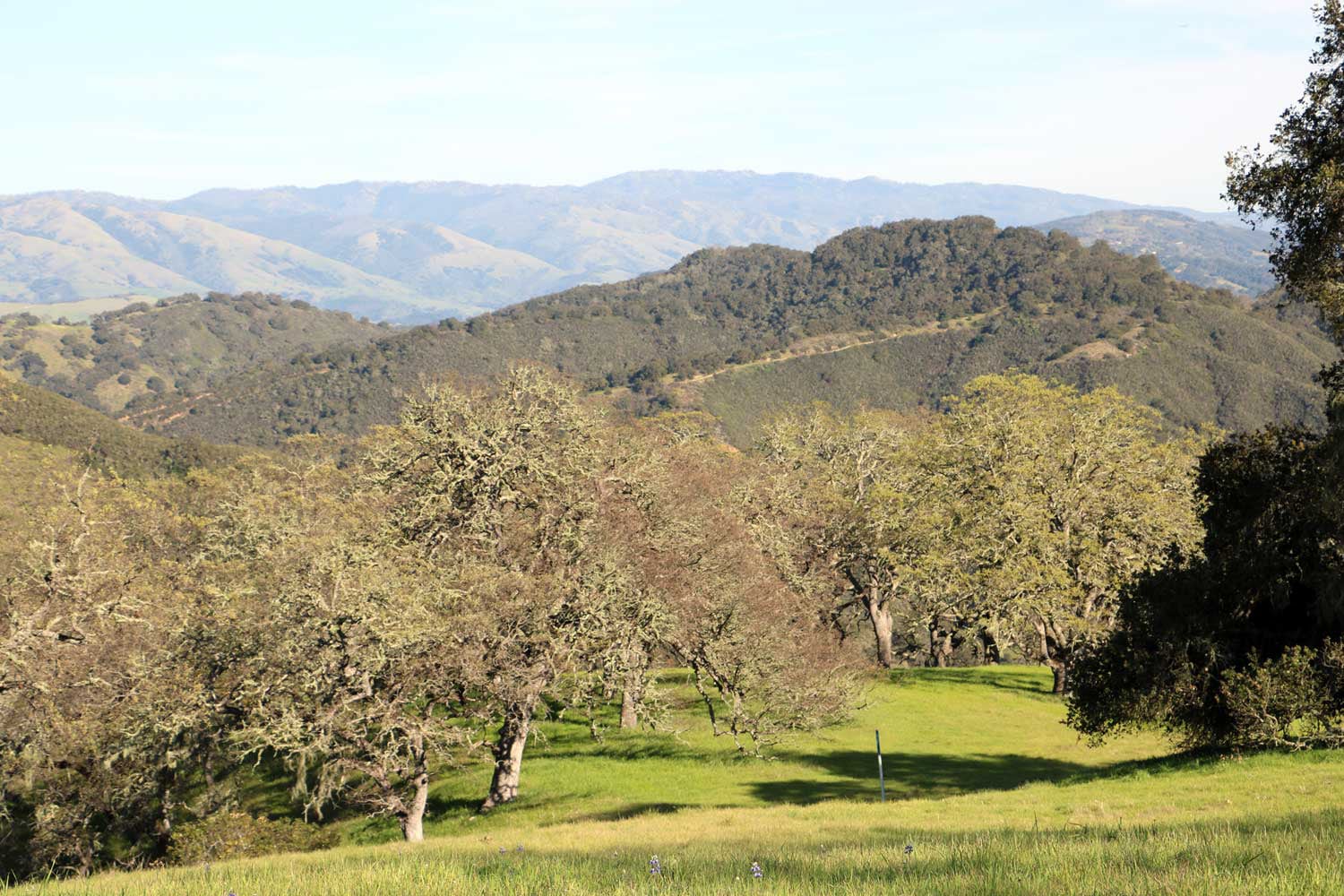 5 Black Mountain Trail - IMG_0803 - © Bambace Peterson 2025