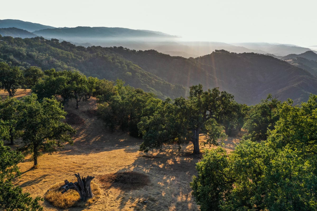 Lot 236
21 Long Ridge Trail  Santa Lucia Preserve