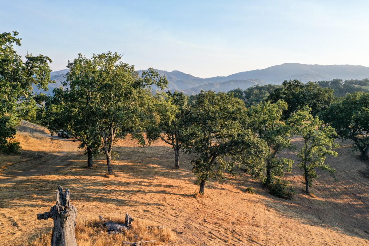 Lot 236
21 Long Ridge Trail  Santa Lucia Preserve