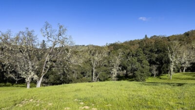 Lot 105 22 Arroyo Sequoia 2024