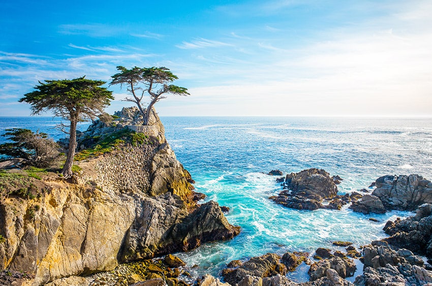 Exterior photo of two cypress trees on a raised cliff with bright blue water and rocks underneath it on a sunny, bright day.
