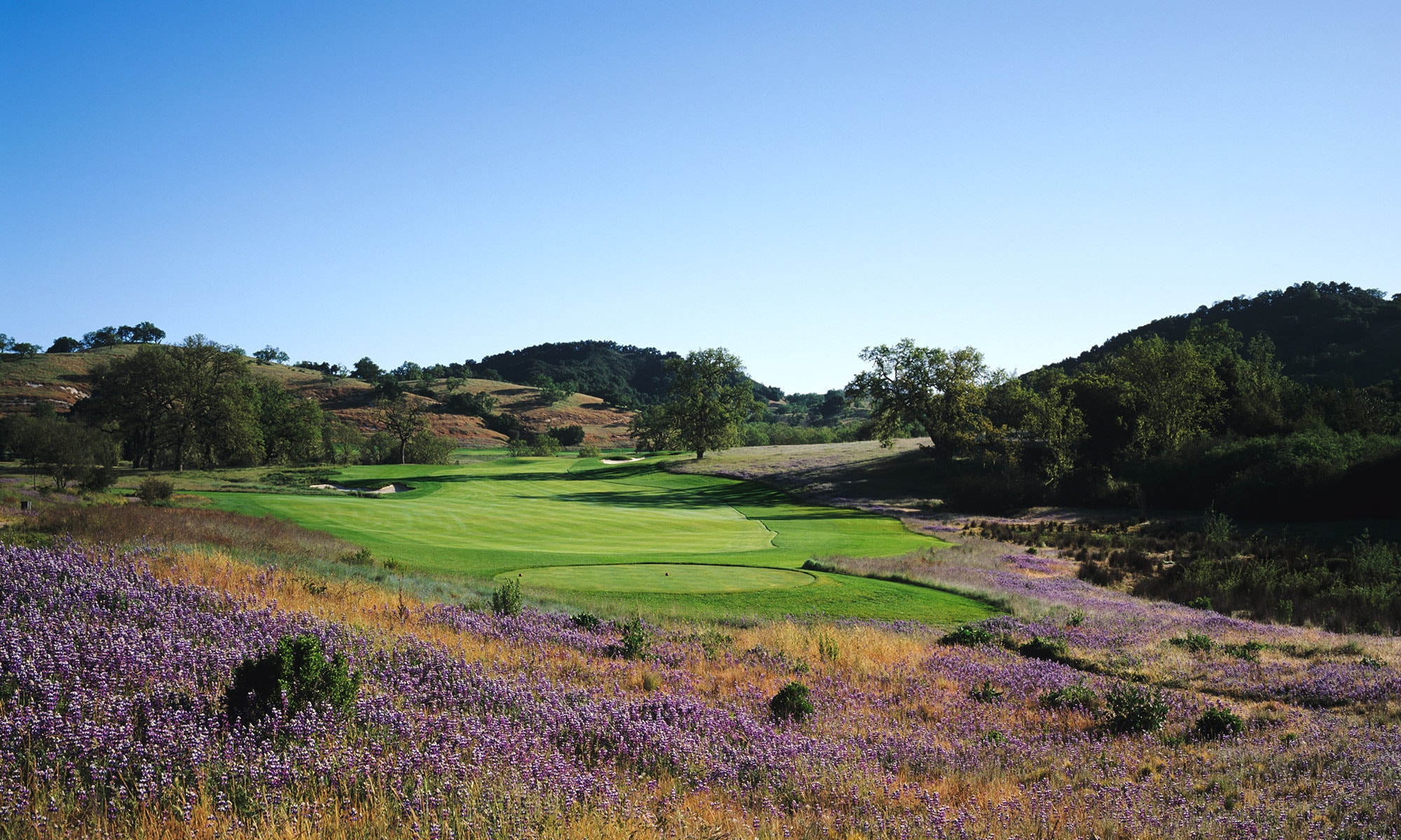 santa-lucia-preserve-golf-course-tee